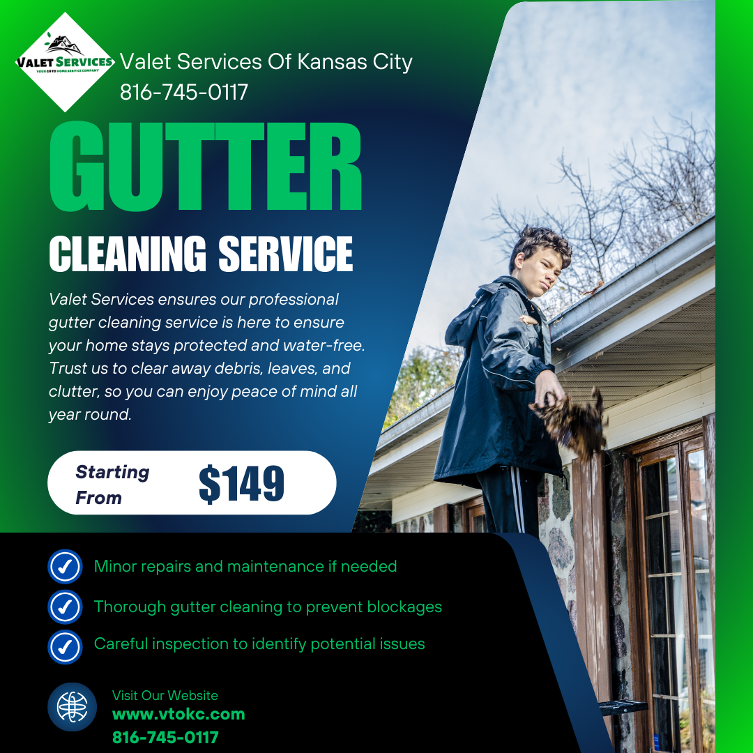 Gutter Cleaning